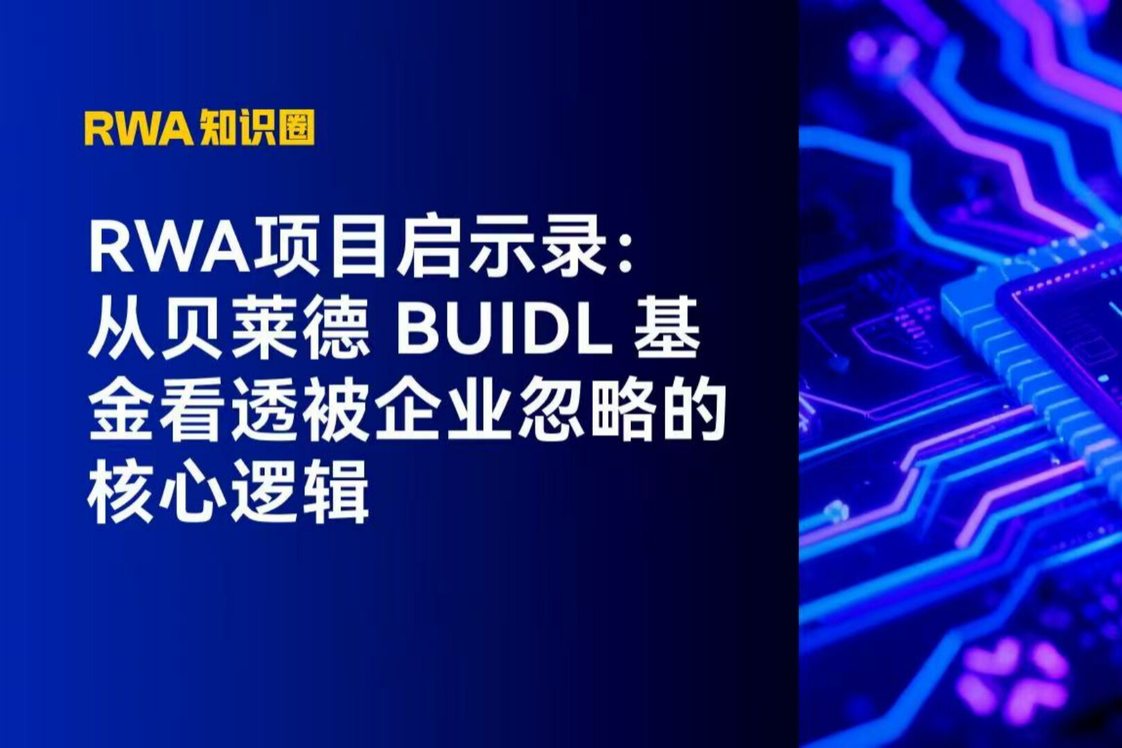 RWA项目启示录：从贝莱德BUIDL基金看透被企业忽略的核心逻辑