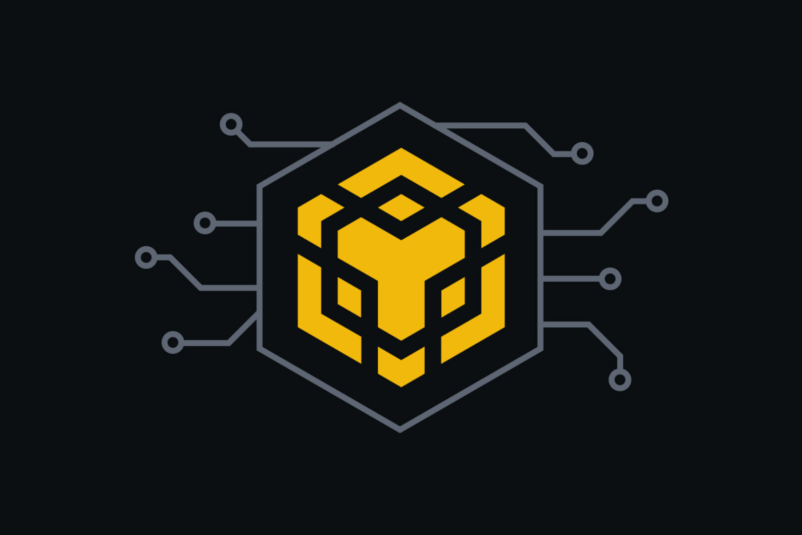 With the dual support of capital and the government, BNB hits a record high and becomes a new favorite for global investment.