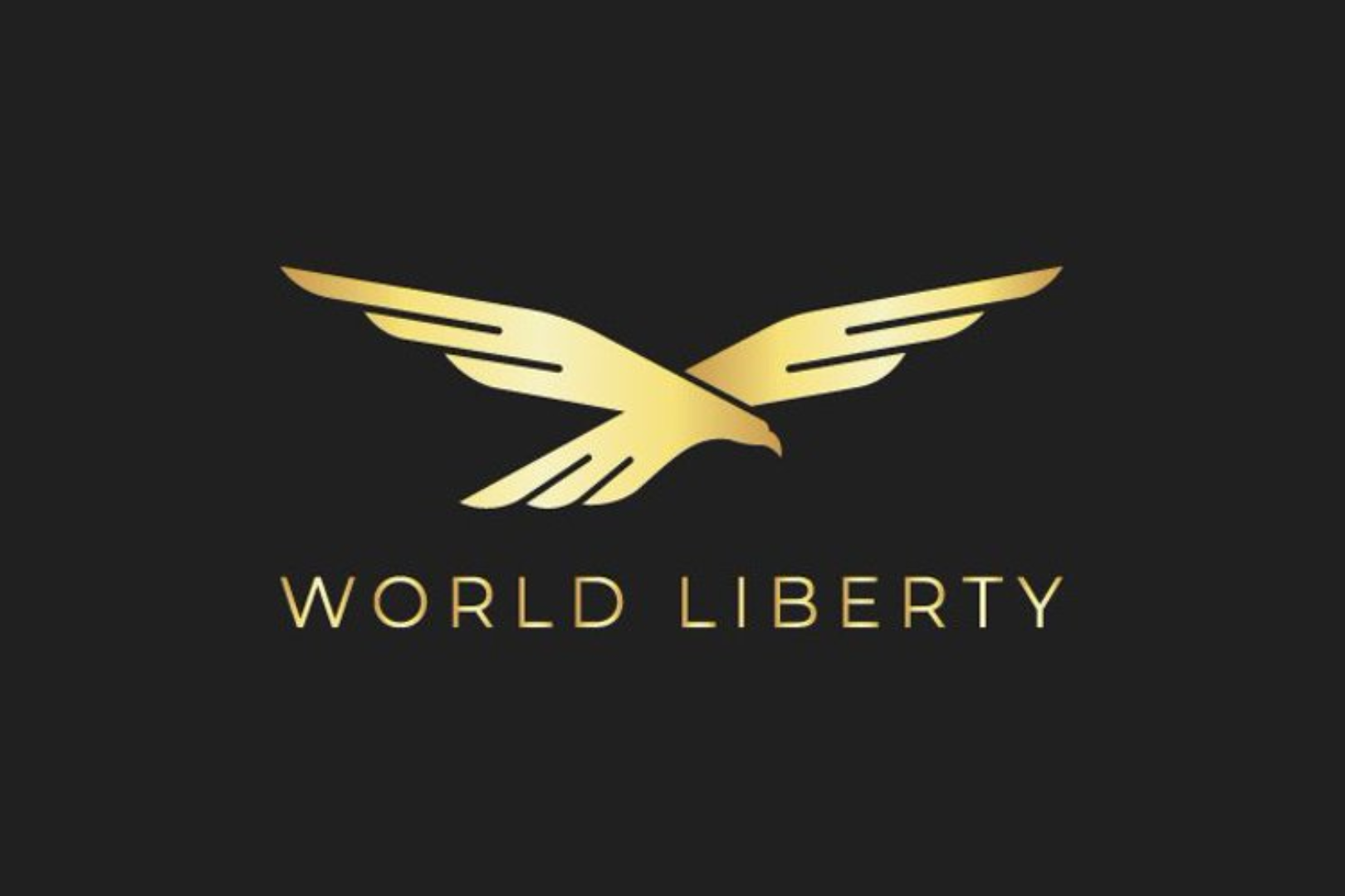 WLFI进入市场流通后，都谁挣钱了？