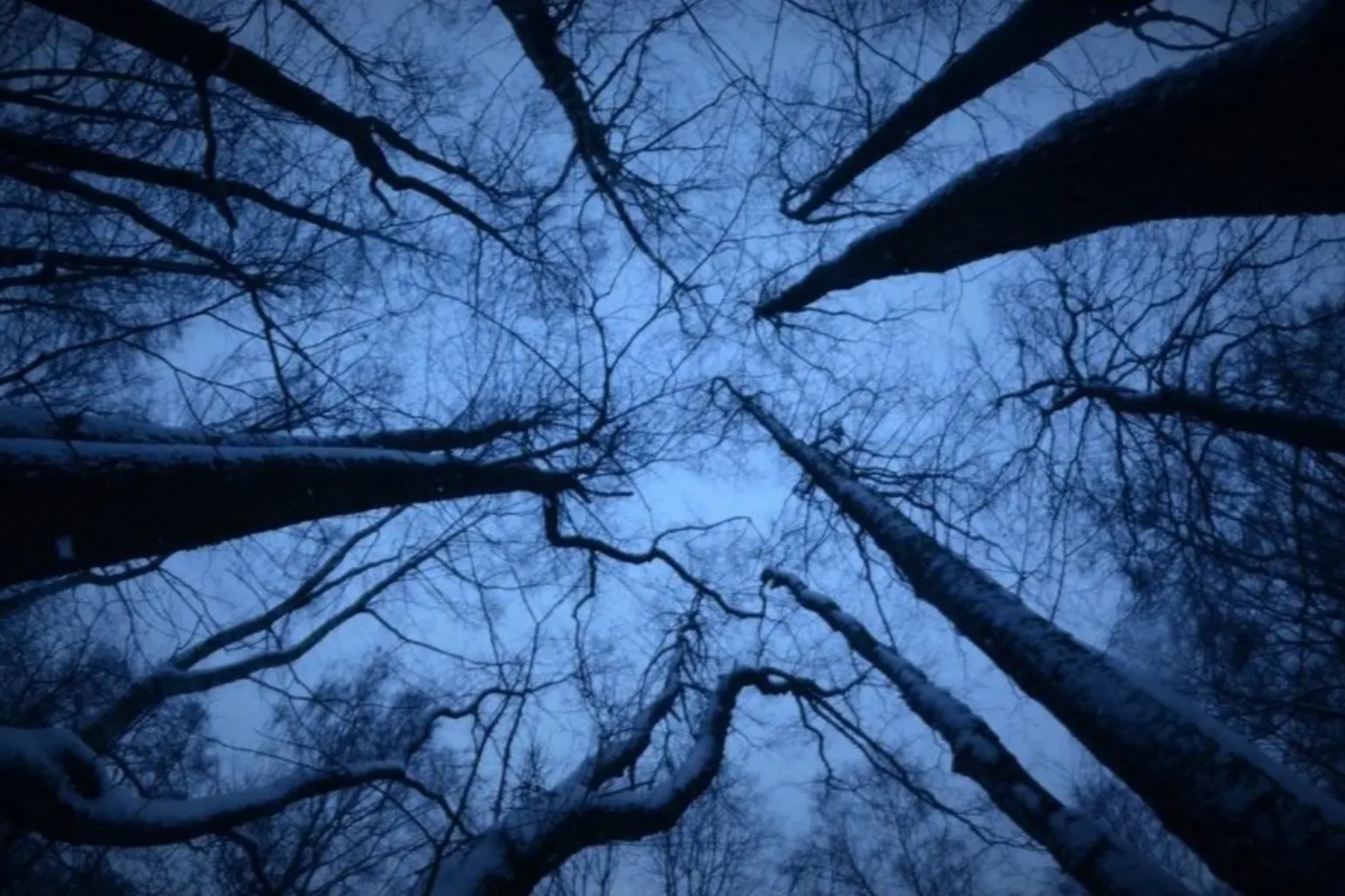 潮が引く時:「裸で泳いでいる」のは誰か?クランカーとパドレの買収の運命に関する考察