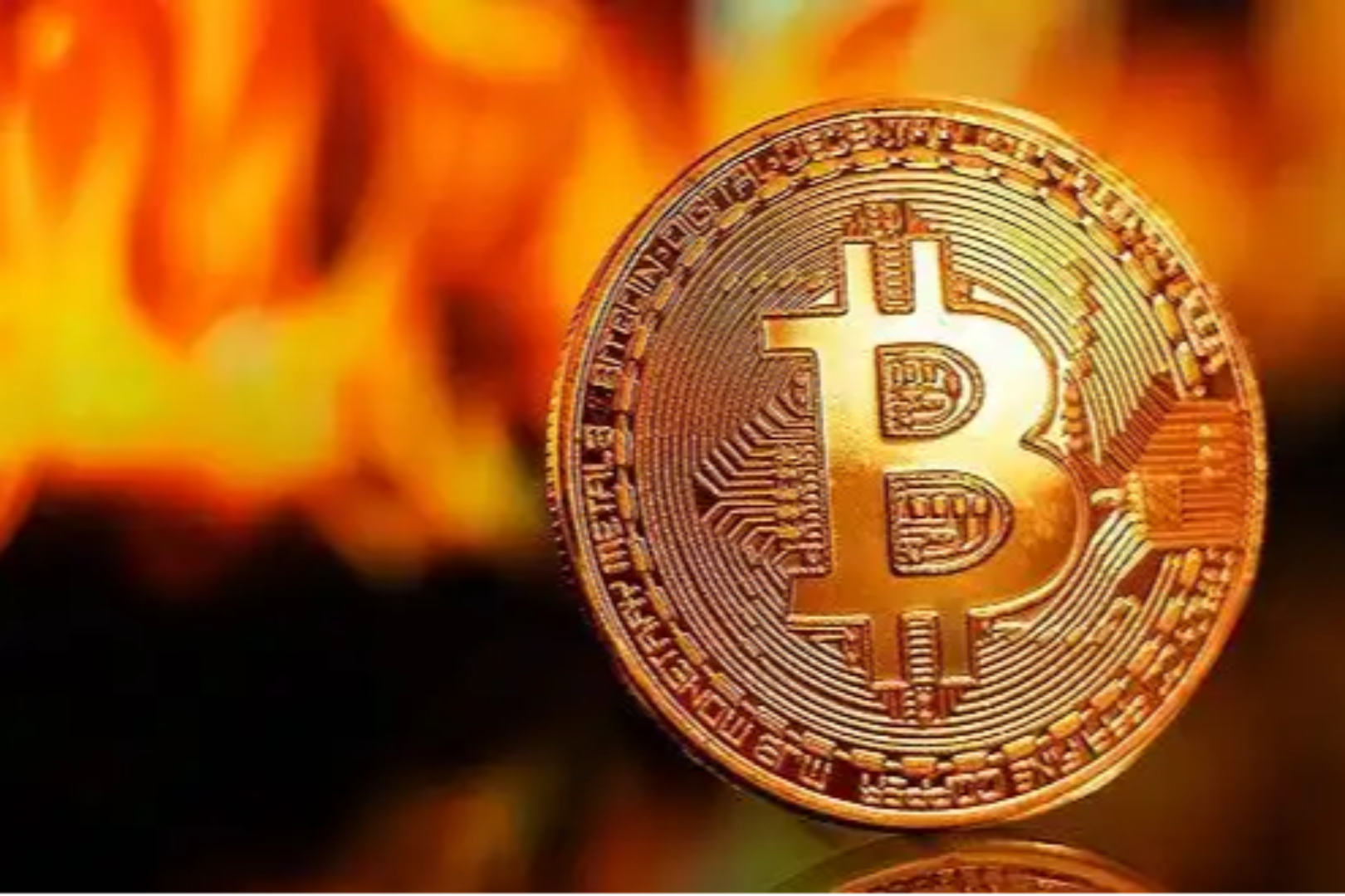 上涨信号显现，行情将迎来新一轮爆发？