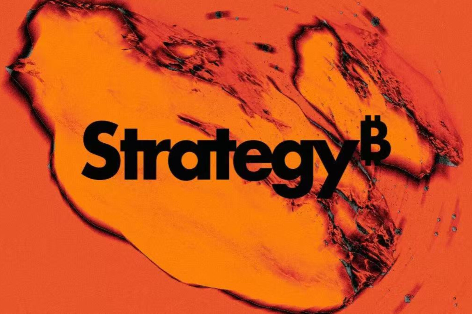 Despite its stock price plummeting by half, Strategy has secured long-term capital investment; a look inside its "mysterious shareholder group."