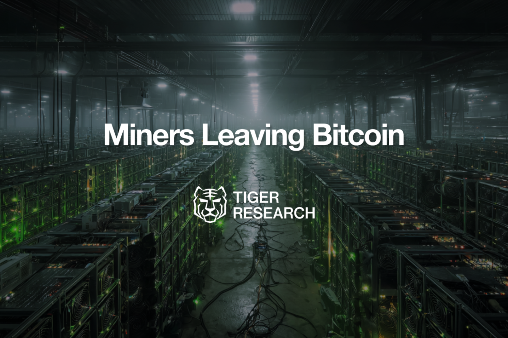 Why are Bitcoin miners collectively shifting their focus to AI? The reasons are astonishing.
