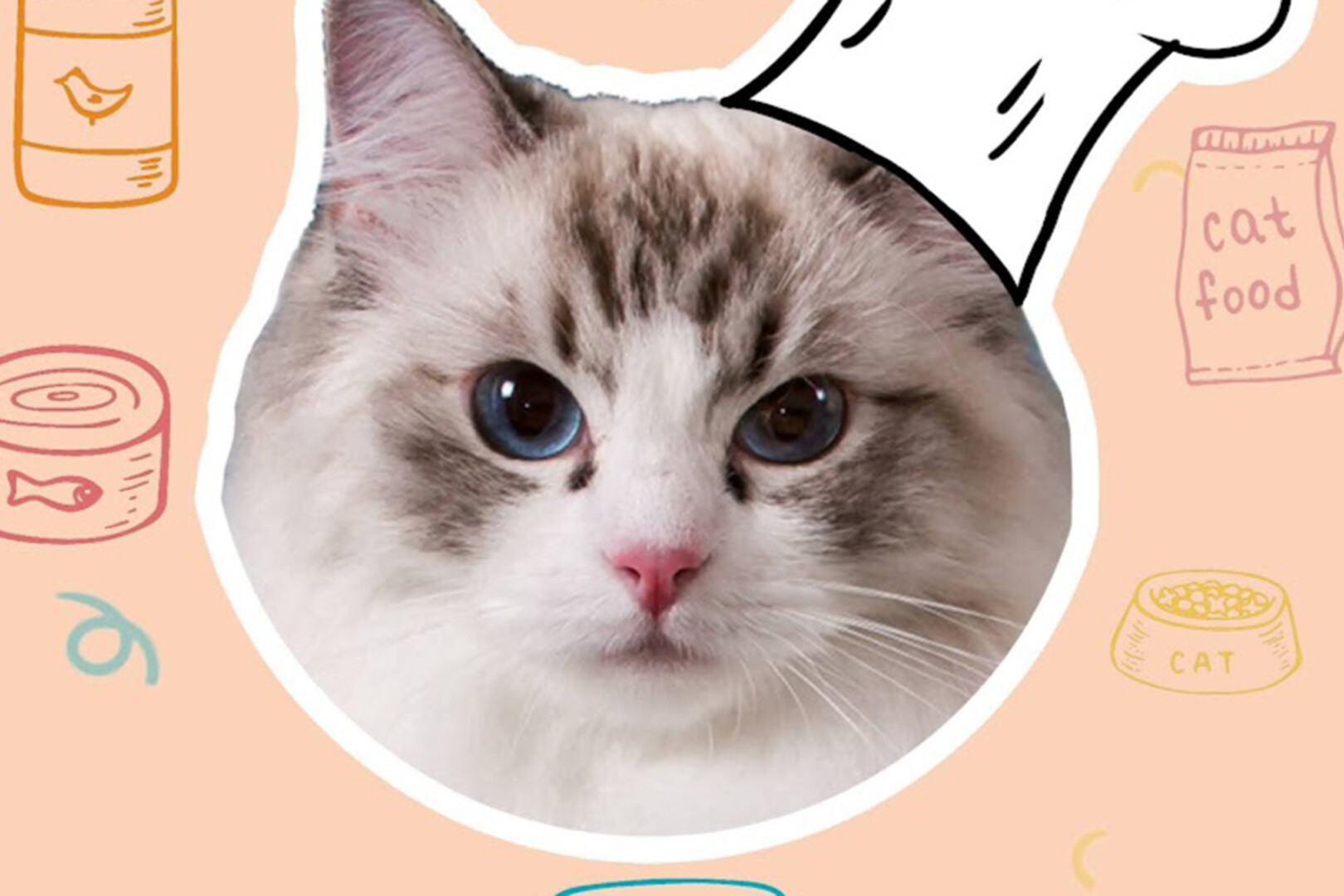 From Hot to Low: A Critical Review of a Web3 Creator's 2025