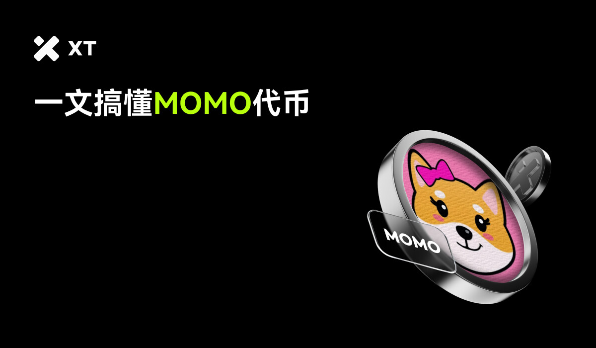 一枚展示 $MOMO 代币的图像，背景为黑色，代币图案为可爱的柴犬形象，旁边有'MOMO'字样，整体风格活泼且色彩鲜明。