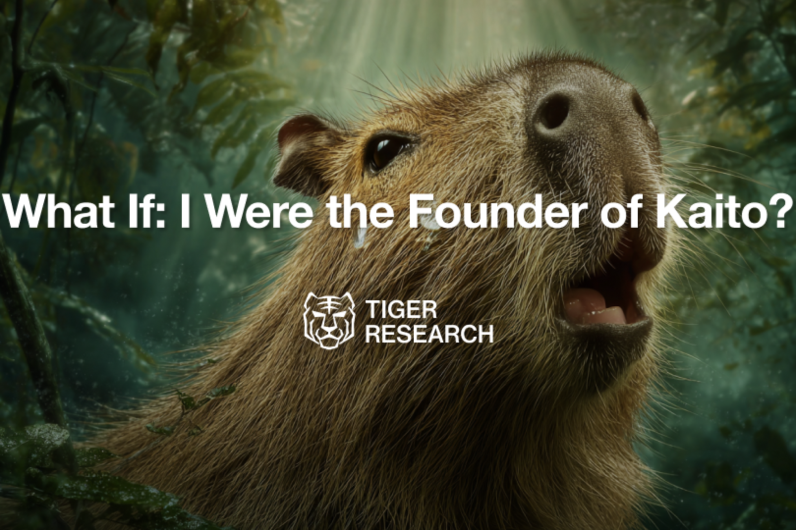 Tiger Research：假如我是 Kaito 的创始人，面对 InfoFi 的变局会如何决策？