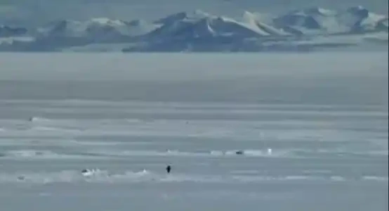 니체 펭귄 일주일 만에 6000배, 솔라나 밈코인이 영광을 재현할까?