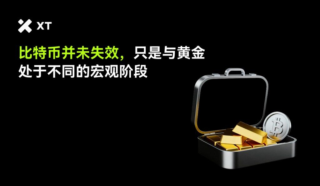 A silver briefcase filled with gold bars and a Bitcoin coin, set against a black background with text discussing cryptocurrency and gold.