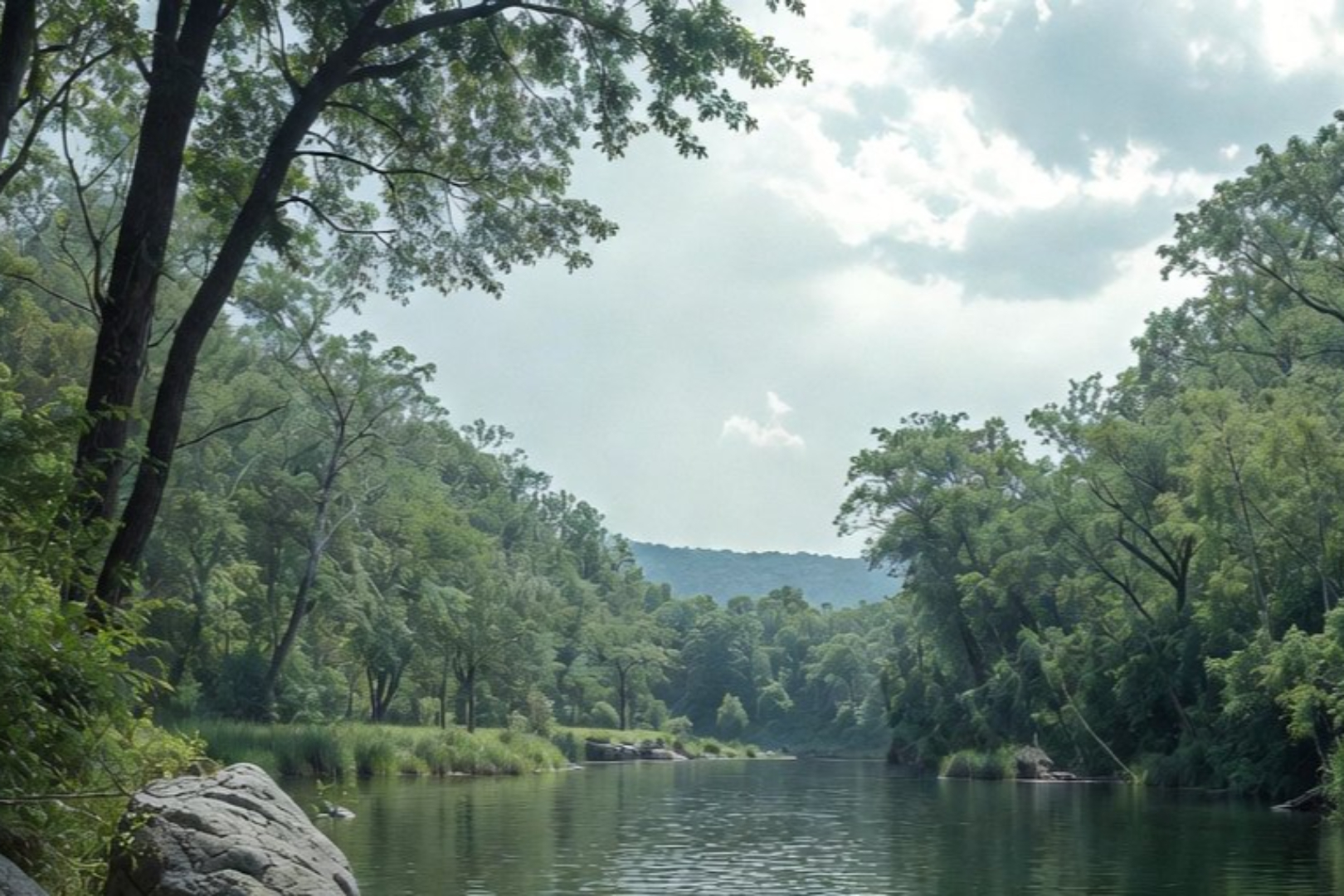 研究观点：牛市仍在，Agent 浪潮已至