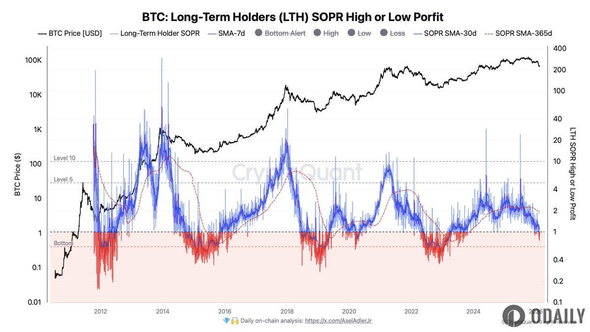 分析：长期持有者SOPR跌破1，为2023年熊市结束以来首次