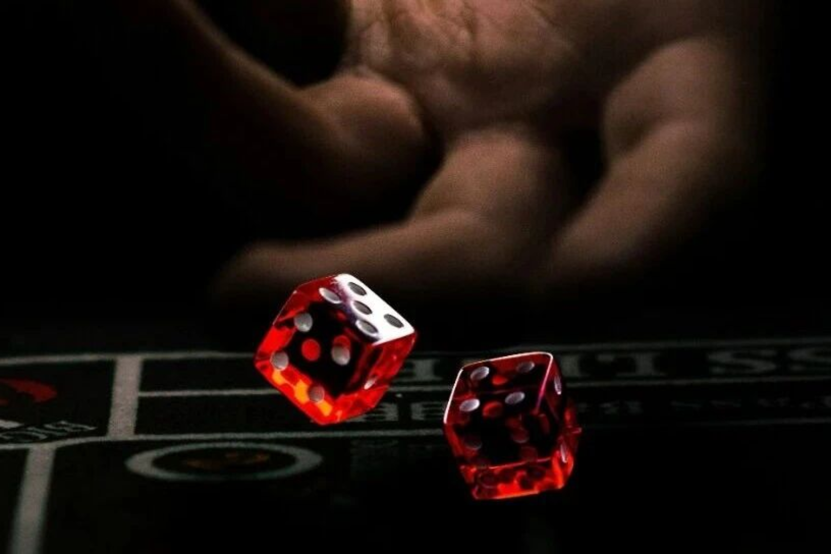 Bitwise: Why Are Top VCs Aggressively Betting on New Public Chains?