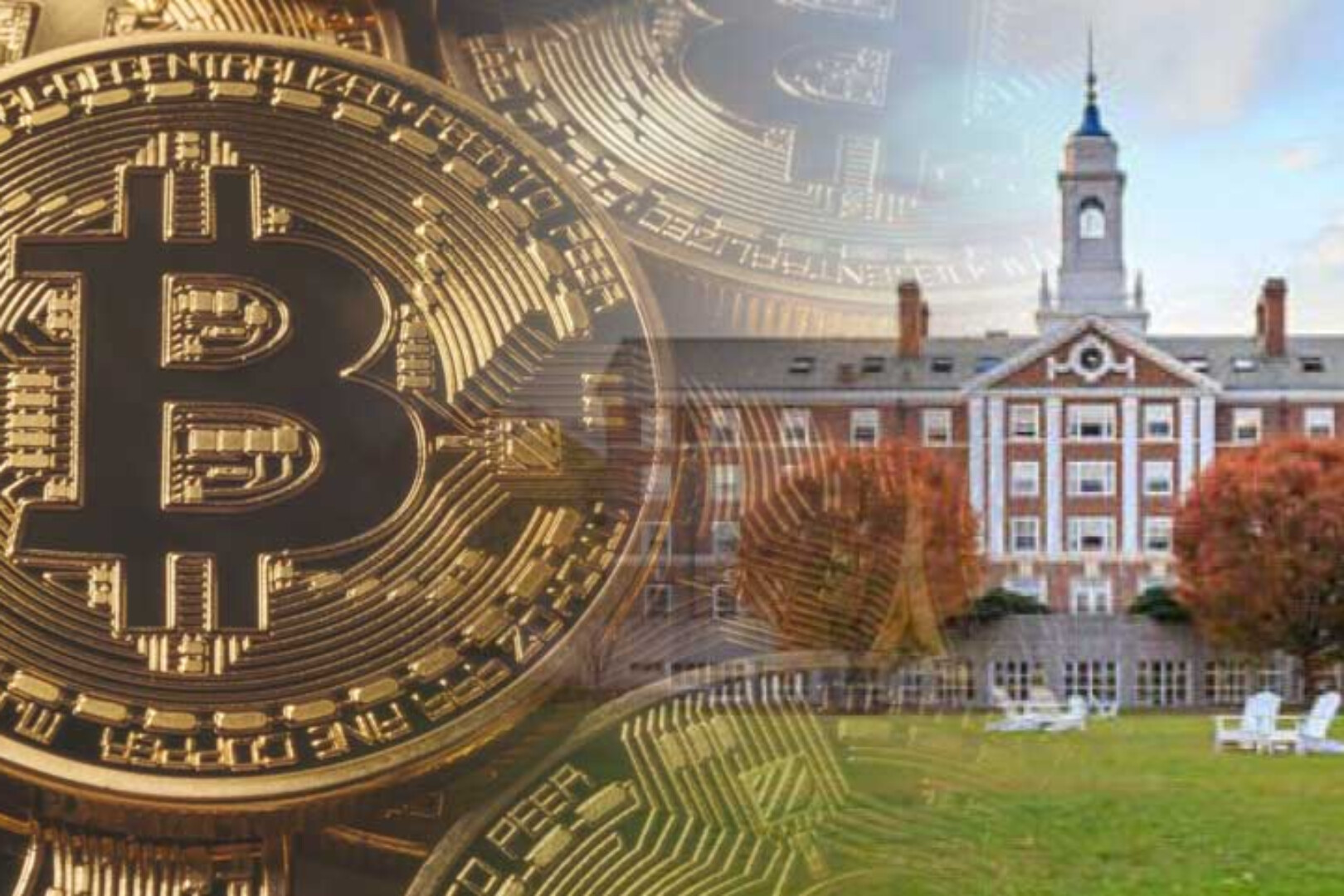 哈佛停止减持比特币ETF,美国大学基金的加密敞口进入观望期