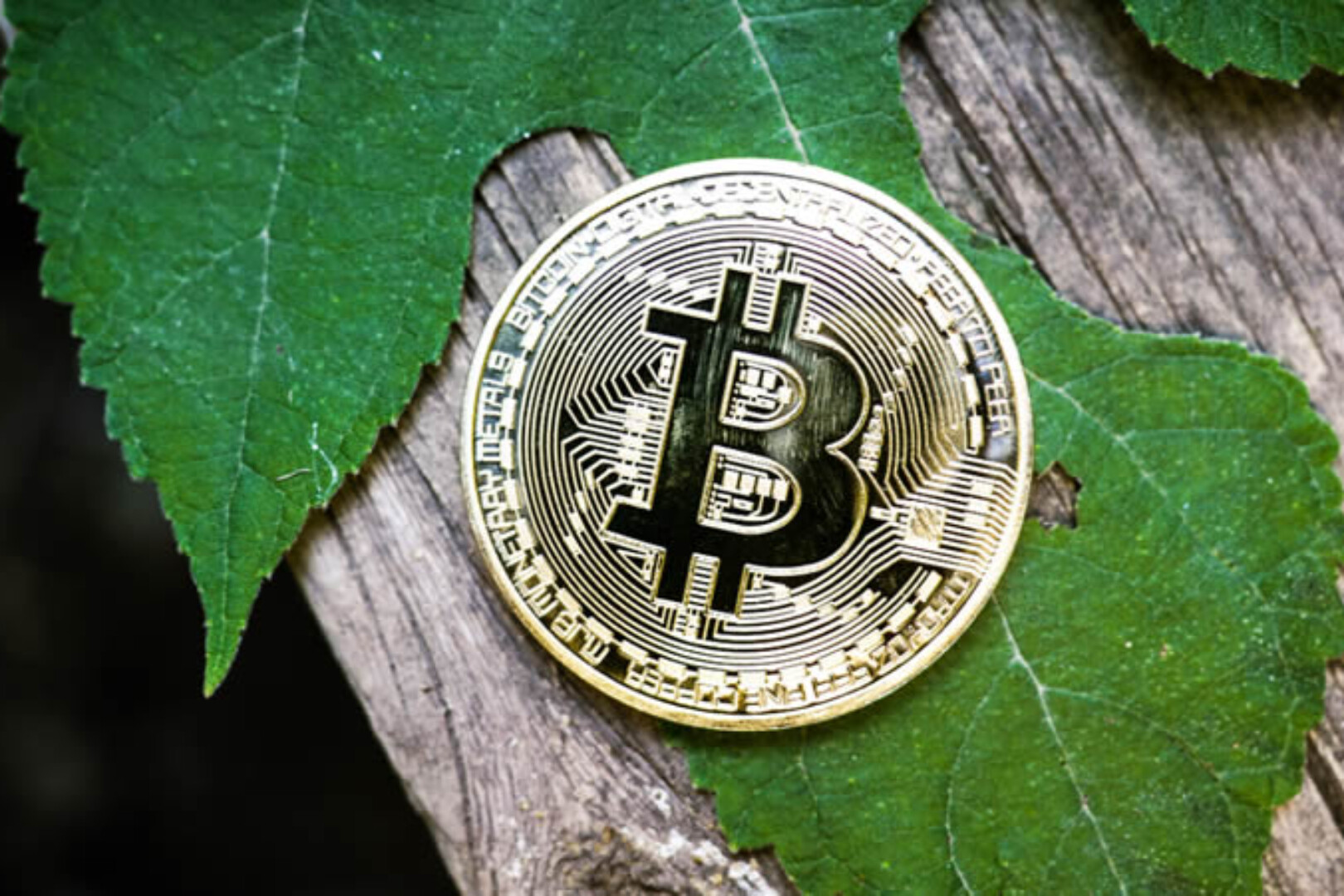 Reading the Code of the “Bitcoin Standard”: The Coins of Machines and the Soul of Builders